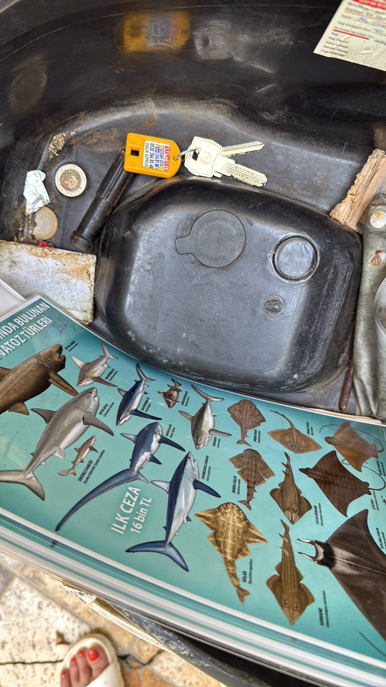 Mersea Media Archive 5