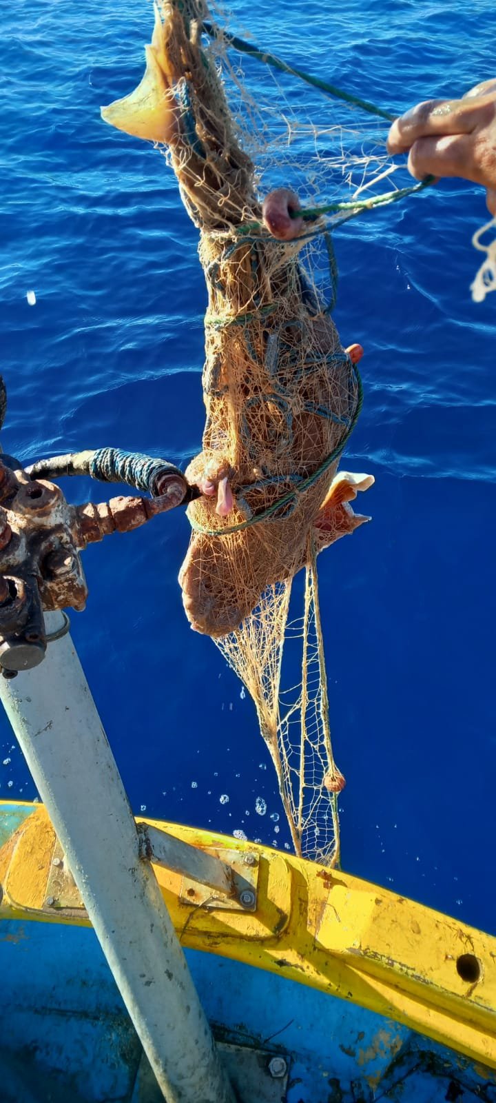 Mersea Media Archive 7