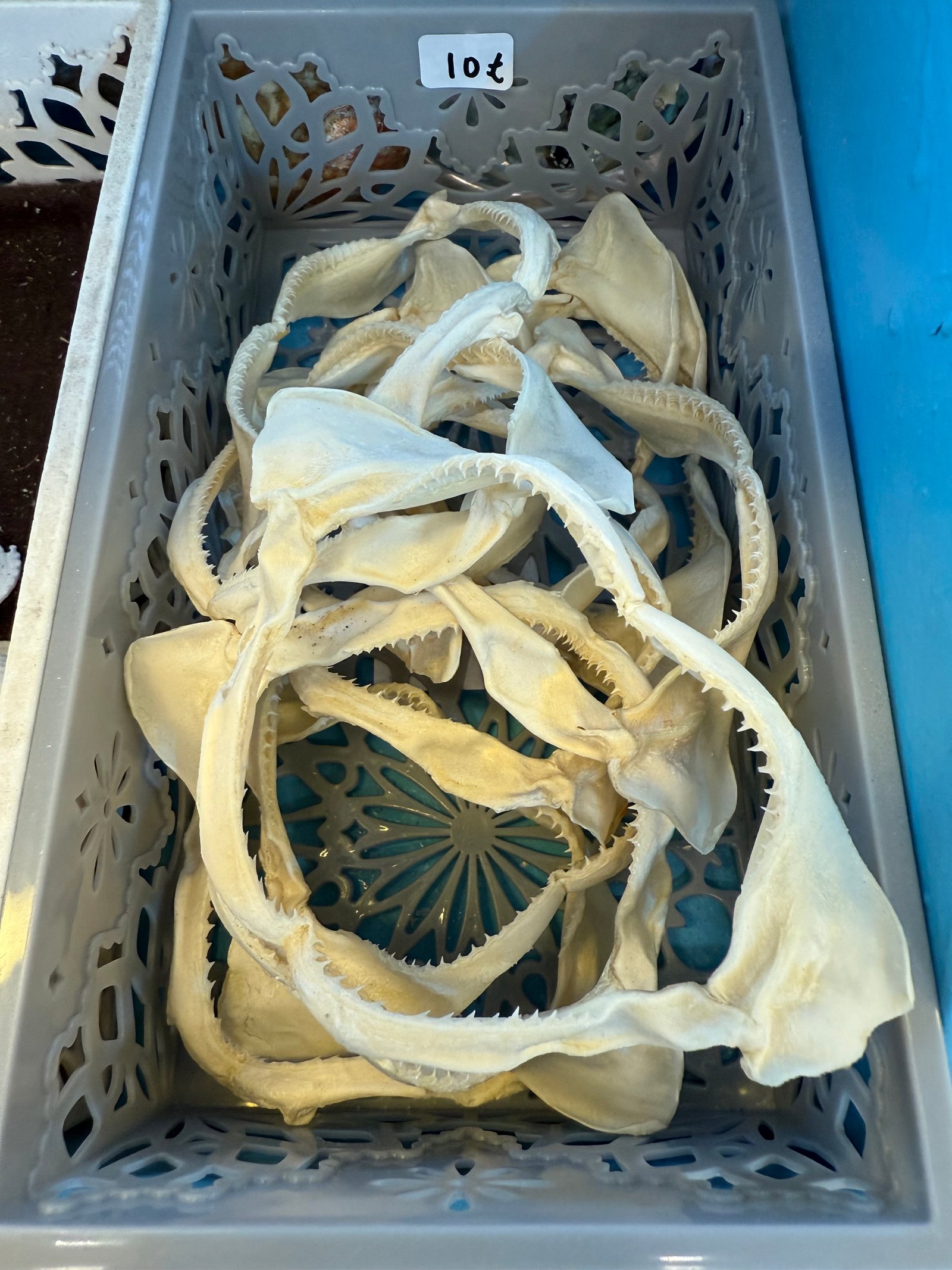 Mersea Media Archive 24