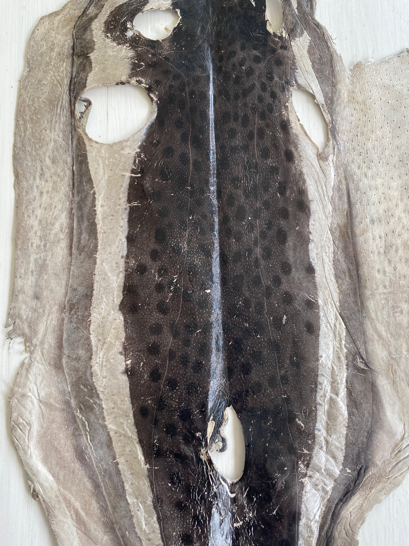 Mersea Media Archive 30