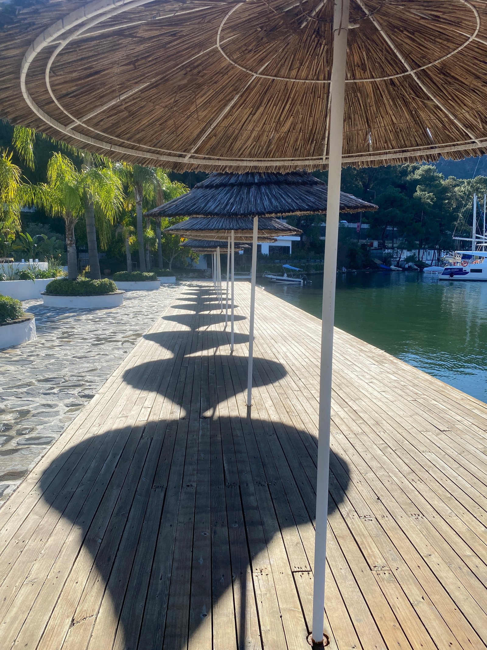 Mersea Media Archive 32