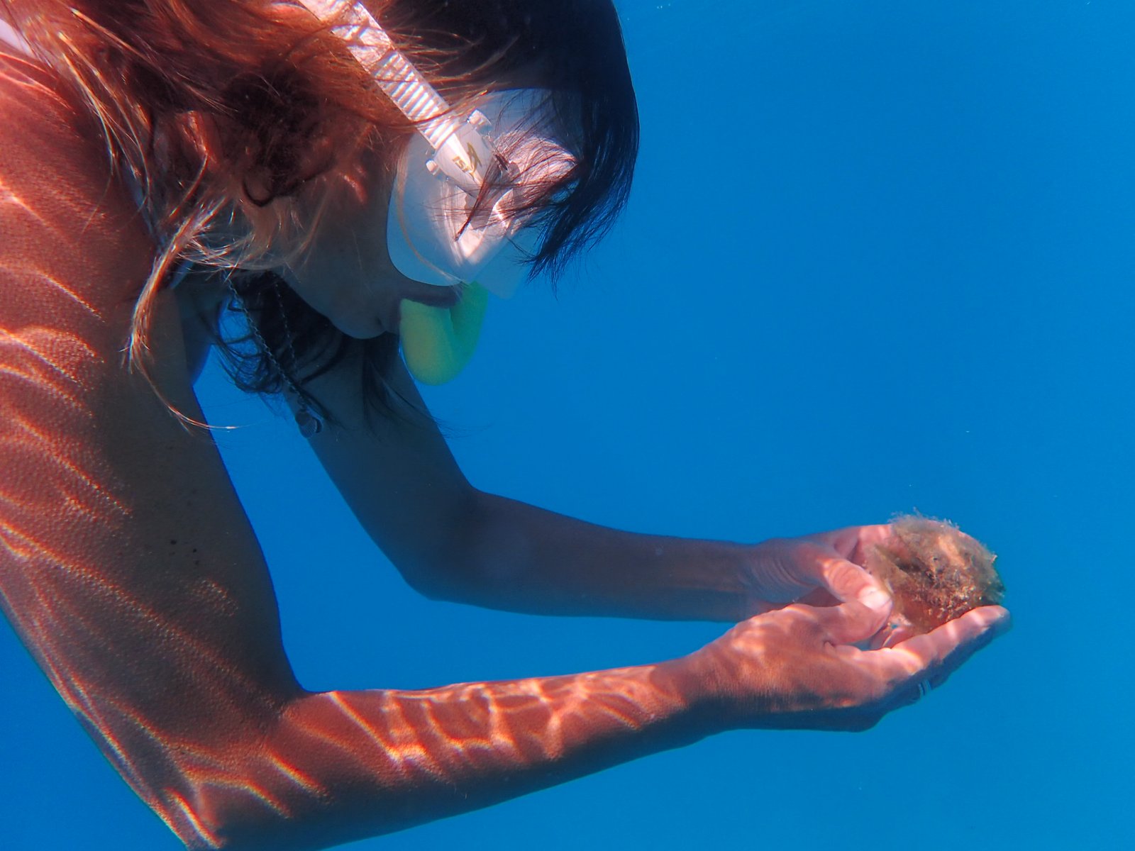 Mersea Media Archive 43