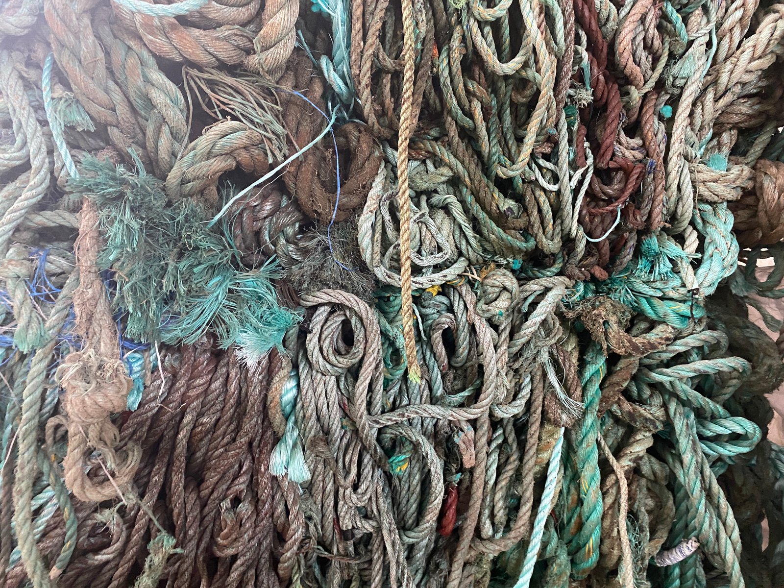 Mersea Media Archive 50