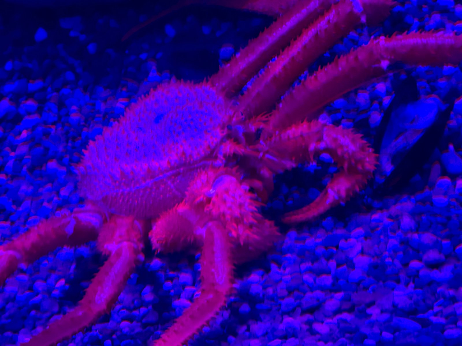 Mersea Media Archive 68