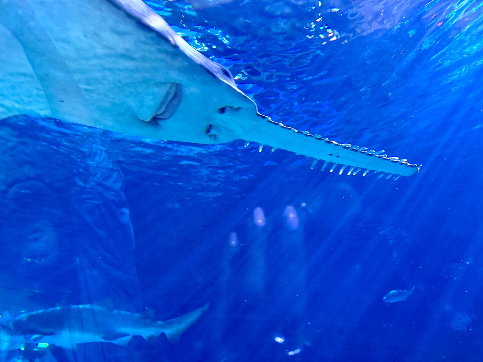 Mersea Media Archive 70